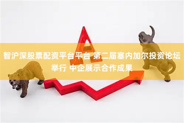 智沪深股票配资平台平台 第二届塞内加尔投资论坛举行 中企展示合作成果