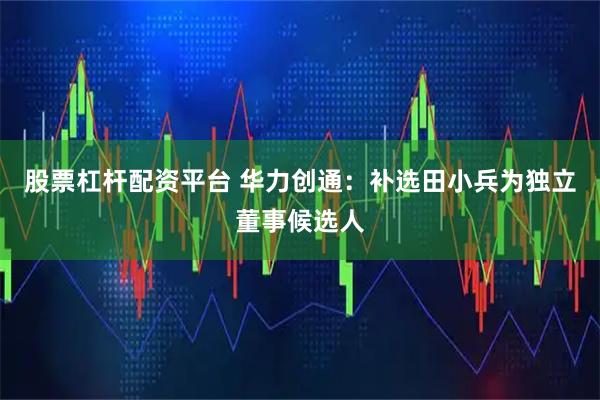 股票杠杆配资平台 华力创通：补选田小兵为独立董事候选人