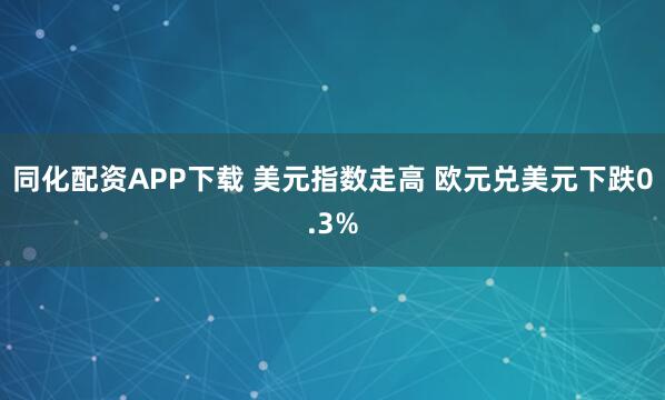 同化配资APP下载 美元指数走高 欧元兑美元下跌0.3%