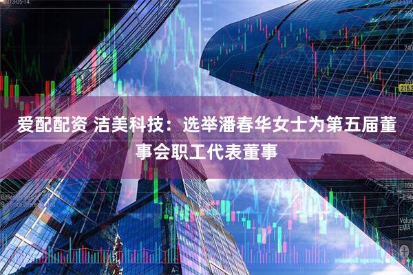 爱配配资 洁美科技：选举潘春华女士为第五届董事会职工代表董事